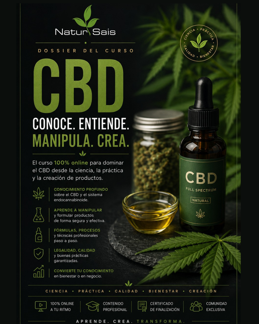 Curso CBD Wellness