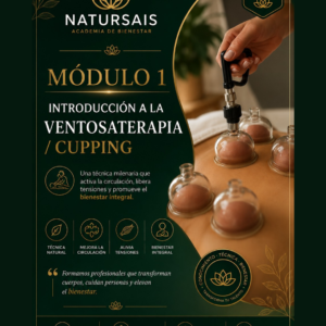 Curso Profesional de Ventosaterapia