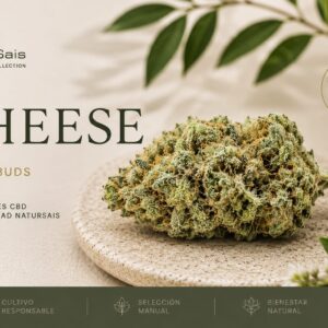 CHEESE (SMALL BUDS) Desde: 2,00 €/gr