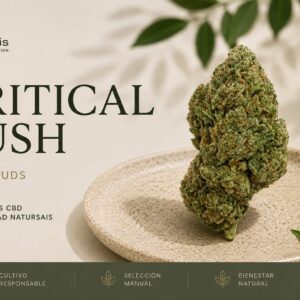 CRITICAL KUSH (SMALL BUDS) Desde: 2,00 €/gr