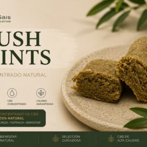 RESINA KUSH MINTS (5 gr)