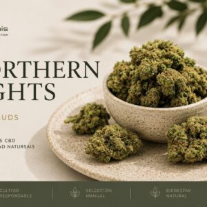 NORTHERN LIGHTS (SMALL BUDS)